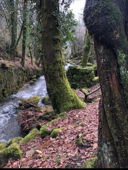 Villa Casinha Estrela Da Encosta - Geres Vieira do Minho Esterno foto