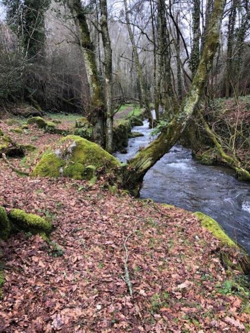 Villa Casinha Estrela Da Encosta - Geres Vieira do Minho Esterno foto