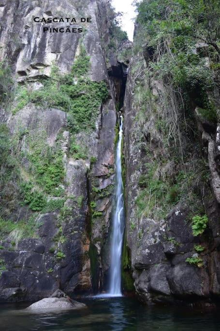 Villa Casinha Estrela Da Encosta - Geres Vieira do Minho Esterno foto